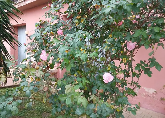 Smeralda Room's Homestay *